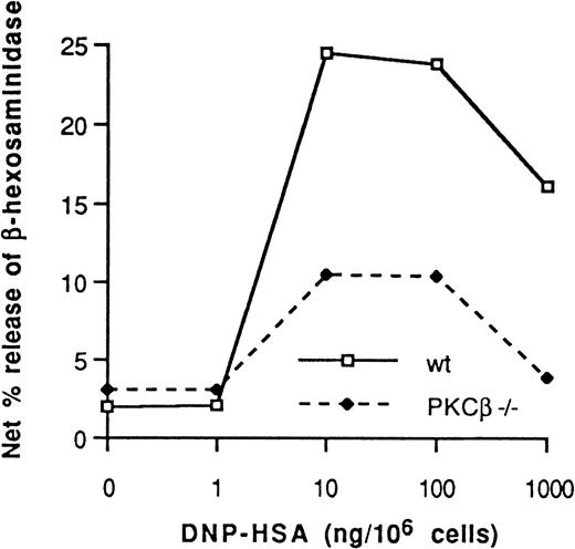 Fig. 4. Dinitrophenol-human serum albumin antigen dose-dependent net percentage release of β-hexosaminidase from IgE-sensitized PKCβ-deficient mast cells and wild-type cells. / One representative experiment of 4 is shown.