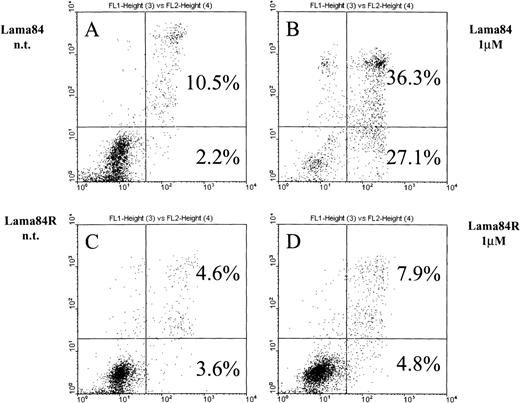 Fig. 2. Induction of apoptosis in LAMA84 and LAMA84R cells. / Cells (0.5 × 106) were incubated with 1 μM STI571 and cultured over 28 hours. After the addition of annexin V and propidium iodide, samples were immediately submitted to double fluorescence analysis. In the sensitive LAMA84 line, STI571 committed 27.1% of cells to early apoptosis (2B) while in the nontreated sample (A), only 2.2% were found in the respective fraction. In addition, the late apoptotic fraction in the sensitive sample (36.3%) (B) also exceeded the nontreated control (10.5%) (A). In the resistant LAMA84R cells, both the early (4.8%) and the late (7.9%) apoptotic fraction of the treated sample did not significantly exceed the nontreated sample (3.6% and 4.6%, respectively) (C) and (D).