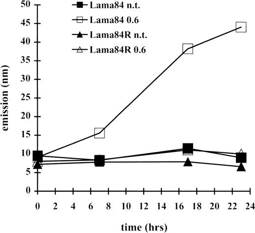 Fig. 3. Induction of caspase 3–like activity in LAMA84 and LAMA84R. / The cleavage of the caspase 3 substrate DEVD-amc was evaluated in a fluorimetric assay, as described in “Materials and Methods.” Caspase 3–like activity was detected by reading samples spectrophotofluorimetrically at an excitation wavelength of 380 nm and an emission wavelength of 460 nm.