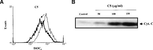 Fig. 1. (A) C5 induces a drop in ▵ψm of HL60 cells. / HL60 (1 × 106 cells/mL) were exposed to 150 μg/mL C5 for 8 hours and loaded with membrane-sensitive probe (40 nmol/L) at 37°C for 30 minutes, washed, and analyzed by flow cytometry, as described in “Materials and methods.” (B) C5 triggered cytosolic translocation of mitochondrial Cyt C in HL60 cells. HL60 (30 × 106 cells) were treated with 50-150 μg/mL C5 for 18 hours, and cytosolic fractions were subjected to SDS-PAGE electrophoresis, transferred to polyvinylidene difluoride membrane, and subjected to Western blot analysis for Cyt C, as described in “Materials and methods.” (C) M14 cells (1 × 103) were grown on coverslips and treated with 150 μg/mL C5 for 12 hours, and Cyt C localization was determined by confocal microscopy using anti-Cyt C, as described in “Materials and methods.”