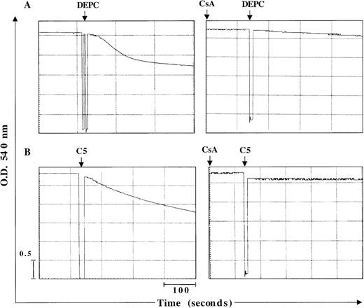 Fig. 2. C5 induces mitochondrial swelling by induction of the MPT pore. / Large-amplitude mitochondrial swelling was determined spectroscopically by monitoring the loss of absorbance at 540 nm, as described in “Materials and methods.” Mitochondria (0.5 mg) were treated with (A) 200 μmol/L DEPC as a positive control to induce mitochondrial swelling or (B) C5 (150 μg) in the absence or presence of MPT pore inhibitor CsA (10 μmol/L).