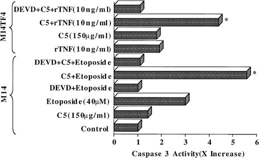 Fig. 8. C5 enhances tumor-cell sensitivity to apoptotic stimuli. / M14 or M14TF4 cells (1 × 106/mL) were exposed to 150 μg/mL C5 for 2 hours and then by 8-hour incubation with 40 μmol/L etoposide or 10 ng/mL rTNF-αb, respectively, in the presence or absence of DEVD (1 μmol/L). Lysates were then analyzed for caspase 3 activity, as described in “Materials and methods.” Data are shown as fold increase (x increase) in activity over the untreated control cells (1 × ).