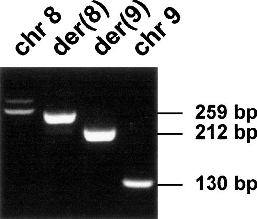Fig. 4. Expression of the fusion transcripts. / RT-PCR was performed using RNA from the t(8;9) patient's malignant cells and specific primers located near the translocation breakpoint (FA-CEPR and CEPF-F9; see Table 1). Chromosomal positions and transcript sizes are indicated at the top and on the right, respectively.