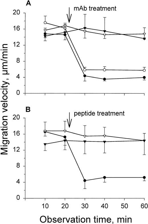 Fig. 3. Time course effects of local treatment with antibodies (A) or peptides (B) on PAF-stimulated (10−7 mol/L) PMN locomotion in the rat mesentery. / (A) Anti-α2 (mAb Ha1/29) (•), combined anti-α2 and anti-β1 (mAb HMβ1-1) (○), anti-α4 (mAb TA-2) (▾), and anti-α5 (mAb HMα5-1) (▿) integrin antibodies (100 μg/mL). (B) The α2β1-binding peptide DGEA (25 mM) (•), α4β1-binding peptide SLIDIP (500 μM) (▾), and α5β1-binding peptide RGDGW (500 μM) (▿). Data are based on calculation of mean migration velocity during 10- to 20-minute periods and presented as means ± SD of 4 to 5 experiments for each reagent tested.