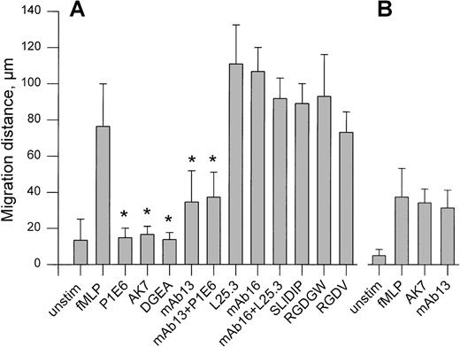 Fig. 4. fMLP-stimulated PMN chemotaxis in gels of collagen (A) and gelatin (B). / PMN, suspended in fMLP 10−9 mol/L, were placed on top of the gels containing fMLP at a concentration of 10−7mol/L. PMN migration into the gel was microscopically quantified after 30 minutes of incubation at 37° C. (A) Effect of antibodies against α2 (mAb P1E6 and mAb AK7), α4 (mAb L25.3), α5 (mAb16), and β1 (mAb13) integrin molecules (20 μg/mL), and of integrin-binding peptides recognizing α2β1 (DGEA, 5 mM), α4β1 (SLIDIP, 100 μM), and α5β1 (RGDGW, 100 μM). The tetrapeptide RGDV (5mM) served as control for DGEA. (B) Effect of antibodies against α2 (mAb AK7) and β1 (mAb13) integrin molecules (20 μg/mL) on fMLP-stimulated PMN migration in gelatin gels. “Unstim” shows PMN migration in respective gel in absence of chemotactic stimulation. Data are based on calculation of migration distance of the leading front and presented as means ± SD of 4 to 6 experiments for each combination analyzed. * indicates significant difference versus fMLP-stimulation alone (P < 0.05).