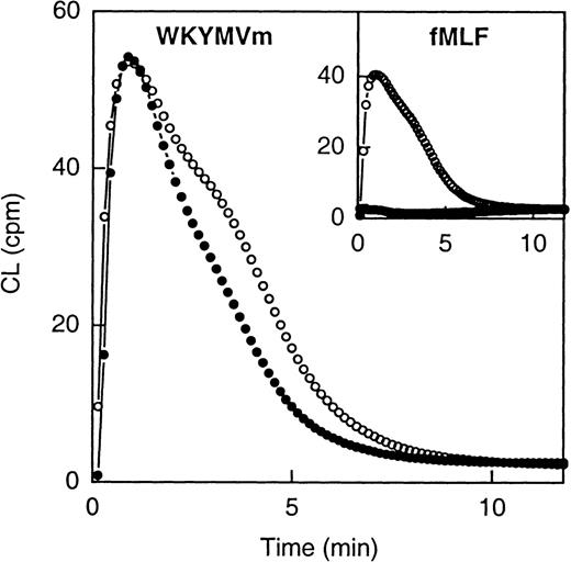 Fig. 2. Neutrophil NADPH-oxidase activity induced by WKYMVm and fMLF. / The figure shows the time courses of the neutrophil CL responses induced by WKYMVm (1 × 10−7 mol/L) and fMLF (1 × 10−7 mol; inset), respectively, in the absence (open symbols) or presence (closed symbols) of Boc-FLFLF (1 × 10−5 mol/L). Abscissa, time of study (minute); ordinate, cellular production of superoxide anion expressed in CL units (Mcpm = 106 cpm).