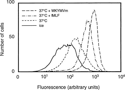 Fig. 3. Surface exposure of CR3 in neutrophils stimulated with fMLF or WKYMVm. / Control neutrophils (kept on ice or at 37°C for 10 minutes) and cells that were stimulated with WKYMVm (1 × 10−7mol/L) or fMLF (1 × 10−7 mol/L), respectively, at 37°C for 10 minutes were paraformaldehyde fixed, incubated with phycoerythrin-conjugated antibodies directed against CR3, and analyzed by flow cytometry. Abscissa, intensity of fluorescence; ordinate, number of cells.