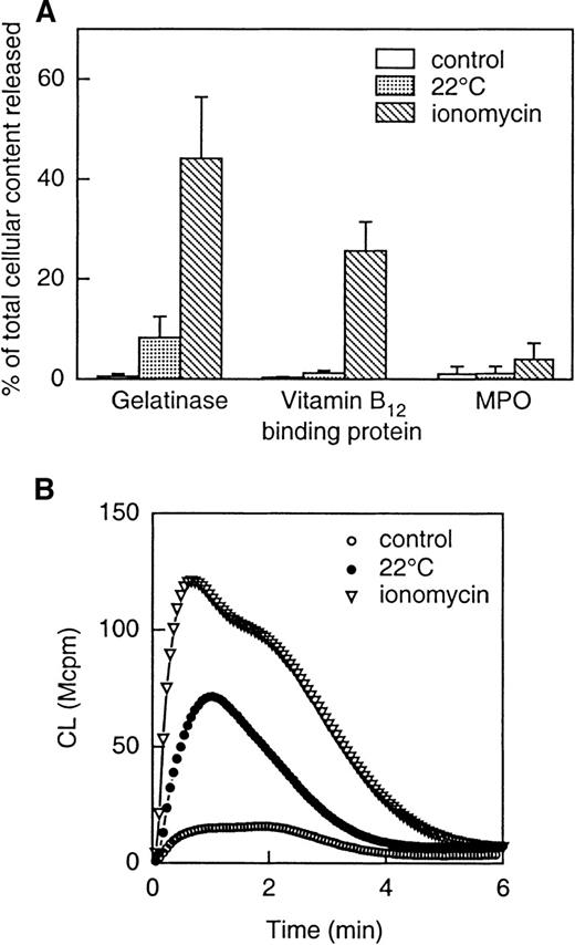 Fig. 8. Release of granule constituents induced by storage of cells (at 22°C) or by ionomycin stimulation (A) and effect of the different priming protocols on NADPH-oxidase activity induced by WKYMVm (B). / The upper part (A) shows the release into the medium of markers for gelatinase granules (gelatinase), specific granules (gelatinase and vitamin B12-binding protein) and azurophil granules (MPO). Neutrophils were treated as follows: (1) incubated on ice (control); (2) incubated at 22°C for 1 hour; (3) incubated with ionomycin (5 × 10−7 mol/L) for 5 minutes at 37°C. The values are given as percent released marker of the total amount in control cells. Data are given as mean ± SD, n = 4. The lower part (B) shows superoxide production induced by WKYMVm (2 × 10−9 mol/L) in neutrophils treated as follows: (1) incubated on ice (control; open circles); (2) incubated at 22°C for 1 hour (closed circles); (3) incubated with ionomycin (5 × 10−7 mol/L; open triangles) for 5 minutes at 37°C. The cells were washed and resuspended in KRG, and superoxide production was followed with the CL technique. Abscissa, time of study (minute), ordinate, and cellular production of superoxide anion are expressed in CL units (Mcpm = 106 cpm).