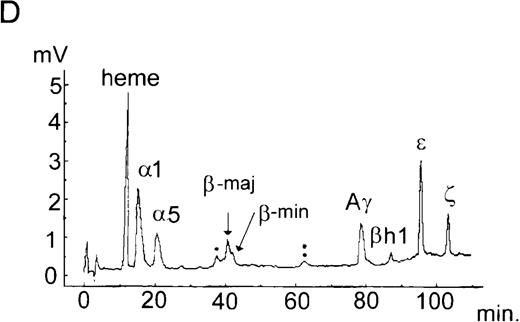 Fig. 2. Efficient generation of hybrid human-mouse hemoglobin in mice expressing the μLCR-Aγ transgene. / (A) Isoelectric focusing of hemolysates from E15 embryos revealed hybrid human-mouse hemoglobins. Presence (+) or absence (−) of the μLCR-Aγ transgene and the EKLF genotype (± or −/− ) is indicated above each lane. Six hemoglobin (Hb) bands were identifiable, labeled 1 to 6, according to migration from anode to cathode. Hemoglobins 1 and 3 were detectable only in mice that harbored the μLCR-Aγ transgene. They were equally prevalent in EKLF−/− (lane 4) and± embryos (lanes 1 and 3). Bands 4 and 5 represent murine β-major and β-minor hemoglobin, respectively; each was markedly and selectively reduced in EKLF−/− blood. The direction of the anode and cathode is indicated. (B, C) Electrospray mass spectroscopy on gel-purified bands 1 and 3. Hemoglobin band 1 (B) contained 2 proteins of 16 009 and 16 146 kd, which correspond to the predicted molecular weights of human Aγ-globin and murine ζ-globin, respectively. Hemoglobin band 3 (C) contained proteins whose molecular masses were consistent with murine α globins, α 1 (Mr 14 981.0), α 5 (Mr 14 995.0), and human Aγ globin (Mr 16 009.3). (D) Reverse-phase HPLC separation of globins expressed by animal 3 in A (genotype EKLF+/+ Aγ+). Peaks annotated with dots represent artefacts of sample storage (single dot, mixed disulfides of murine β-major and β-minor with either cysteine of glutathione; double dot, disulfide-linked murine β-globin dimers).