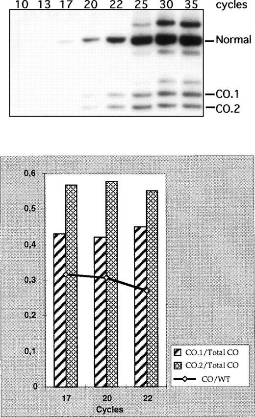 Fig. 3. Quantitative reverse transcription-polymerase chain reaction (RT-PCR) of CO.1 and CO.2 mRNA species. / The experiment was performed on reticulocyte mRNA obtained from the heterozygous individual B2 in family B. In the top panel is an autoradiograph showing the normal bands and the bands expected with CO.1 and CO.2. Longer exposure revealed the 3 specific bands at all the time points. The bottom panel shows phosphorimaging measurements of both the total CO mRNA levels compared with the normal 4.1R mRNA produced in trans (curve) and the relative amounts of CO.1 and CO.2 (bars).