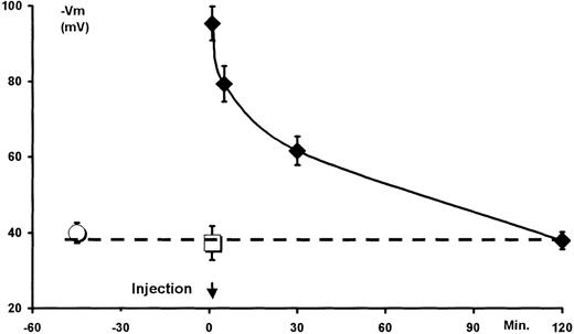 Fig. 8. Transient in vivo inhibition of the murine erythrocyte Cl− conductance. / The mice were intravenously dosed with NS1652 (50 mg/kg) or vehicle (5% W/v cremophore) at time 0. At 1, 5, 30, and 120 minutes after injections, 3 mice were killed and their blood collected in heparin and immediately centrifuged. The vehicle-injected animals were killed after 1 minute. The packed erythrocytes were separated from the plasma and stored on ice until use (1-2.5 hours). Erythrocytes from uninjected control animals were processed similarly. Immediately before analysis, the packed cells were resuspended in 1 vol experimental salt solution and centrifuged, and 100 μL were transferred to 3 mL experimental solution for recording of hyperpolarization induced by a fixed valinomycin concentration (5 ∗ 10−7 mol/L). The individual blood samples were analyzed at random. ○ indicates control animals; □ indicates cremophore-injected animals; ⧫ indicates NS1652-injected animals. n = 3 for each group. Data are means ± SD. Broken line indicates the mean of control and cremophore-injected animals.