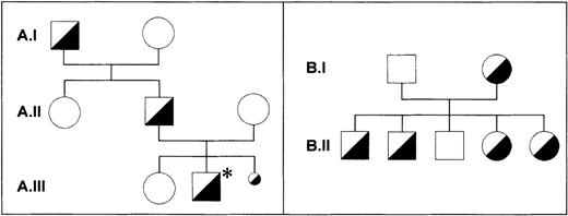 Fig. 5. Pedigrees of the index family and the Kr family. / In the Iy (index) family (A), the family member with the index case of neonatal alloimmune thrombocytopenia (NAIT) is marked with an asterisk (A.III.2). A third pregnancy was interrupted because of massive intraventricular bleeding in the fetus (A.III.3). All individuals were phenotyped with use of the monoclonal antibody-specific immobilization of platelet antigens assay. Material for genotyping was available only from individuals A.I.1, A.I.2, and A.II.1. One member of the Kr family (B) was found in assessing 300 healthy blood donors. All individuals were phenotyped and genotyped. No case of NAIT was observed in the Kr family.