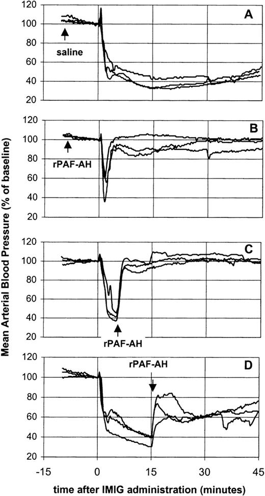 Fig. 3. Effect of rPAF-AH on IMIG-induced hypotension. / Saline, 15 minutes before IMIG, was used as control (A). rPAF-AH (5 mg/kg) was administered 15 minutes before (B), 5 minutes after (C) and 15 minutes after (D) IMIG (250 mg/kg). Each panel gives the superimposed mean arterial blood pressure recordings of 3 rats.