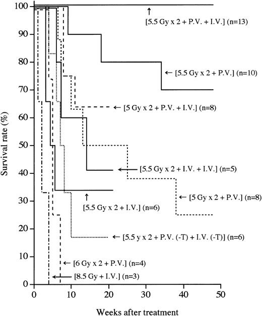 Fig. 1. Survival rates after various treatments. / Survival rates of the recipients treated with single or fractionated irradiation, followed by PV and/or IV administrations of BMCs are shown. Numbers in parentheses represent the numbers of mice in each group. Statistical analyses were performed by a logrank test:P < .05, (5.5 Gy × 2 + PV + IV) vs (5.5 Gy × 2 + PV).