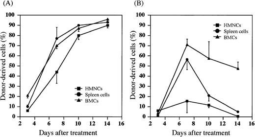 Fig. 2. Percentages of donor-derived cells in MRL/lpr mice treated with (5.5 Gy × 2 + PV) or (5.5 Gy × 2 + IV). / HMNCs (closed square), spleen cells (closed circle), and BMCs (closed triangle) in the recipient mice were collected and stained with FITC anti-H-2b mAb to detect donor-derived cells at the days indicated on the X-axis. (A) MRL/lpr mice treated with (5.5 Gy × 2 + PV), (B) MRL/lpr mice treated with (5.5 Gy × 2 + IV). The results are expressed as the mean ± SD of 6 mice.