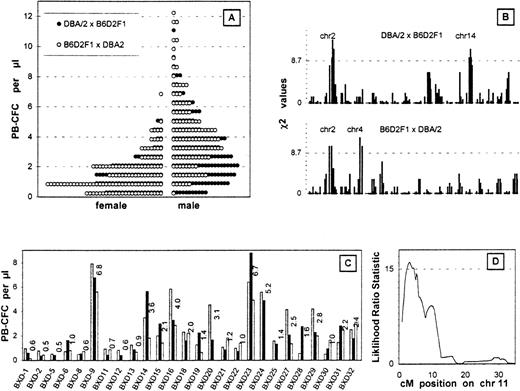 Fig. 1. Analysis of the backcross mice. / (A) PB-CFC values after 5 days of G-CSF injection. The histograms are the data of 165 males and 95 females bred from D2 and F1 mice and 122 males and 123 females bred from F1 and D2 mice binned by an interval of 0.6 colonies/μL. (B) Linkage analysis of PB-CFC values across the entire genome of both backcross cohorts. The χ2 analysis measures the support for Mendelian inheritance ratios of 1:2:1 at each locus. Only high responders were used for the analysis. The dotted line depicts 32 males and 20 females bred from D2 and F1 mice and 24 males and 24 females bred from F1 and D2 mice. A threshold for suggestive linkage is shown by the dotted line. Chromosomes showing significant or suggestive linkage are indicated. (C) Phenotype of BXD RI strains using 2-3 mice from each strain is plotted as individual histograms. (D) Interval mapping on chromosome 11 using the BXD RI lines. This quantitative trait analysis was performed using the ln PB-CFC values (MapManager QTb19ppc). The threshold for significant linkage is shown by the dotted line.