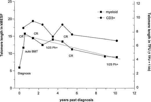 Fig. 4. Telomere length dynamics in a single patient who received a transplant of culture-purged marrow. / Telomere length measurements in thawed low-density cells from bone marrow or peripheral blood (squares) and from ex vivo expanded T cells (circles) are shown. The average rate of telomere shortening after transplantation was calculated by linear regression analysis and the slopes expressed in base pairs per year. Note that the patient showed an increase in telomere length after transplantation followed by a decline thereafter and that T lymphocytes always showed longer telomeres and seemed to decline at a slightly slower rate than the PBL in the 10 years after transplantation.