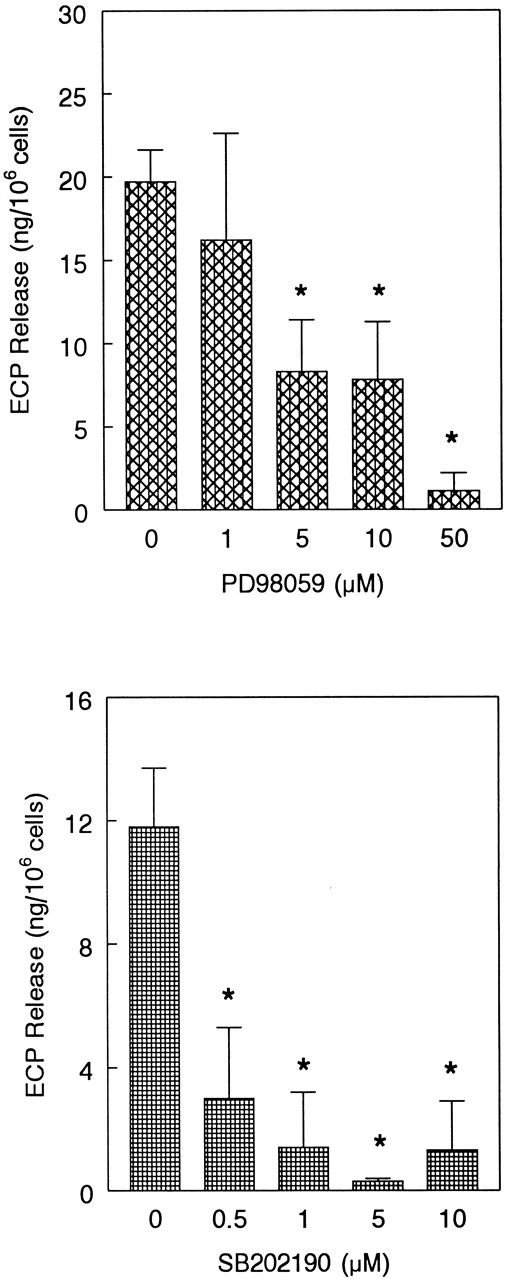 Fig. 7. Effect of MEK inhibitor PD98 059 and p38 inhibitor SB202 190 on eotaxin-induced ECP release. / Eosinophils were preincubated with buffer, PD98 059 (1-50 μM), or SB202 190 (0.5-10 μM) for 1 hour and stimulated with eotaxin (10−7 mol/L) for 4 hours. ECP release was measured by radioimmunoassay. The number of eosinophil donors for PD98 059 and SB202 190 experiments were 4 and 3, respectively. The results are shown as the mean ± SD of ECP release from 106 cells. The values were corrected for the ECP release in buffer, which were 7.6 ± 3 and 6.9 ± 2.3 ng per 106 cells for PD98 059 and SB202 190 experiments, respectively. The inhibition of ECP release by 5, 10, and 50 μM of PD98 059 and by all tested concentrations of SB202 190 was statistically significant (*P < .05).