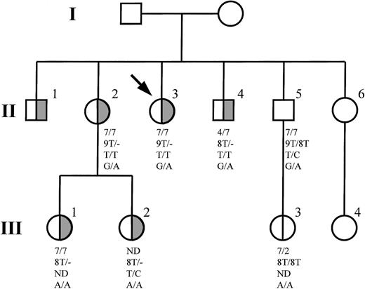 Fig. 1. Inheritance of defective PROS1 allele in family D3. / Individuals with PS deficiency are represented by half-filled symbols. The index case is indicated by an arrow, and individuals who were not investigated are indicated by empty symbols. Haplotypes are shown in the following order: D3S1251, length of poly T tract in intron G, PIPS1, codon 626.