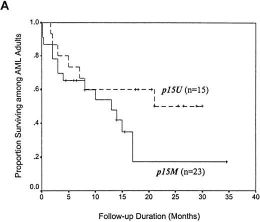 Fig. 4. Kaplan-Meier survival curves for 38 adults with AML and 12 adults with ALL, according to p15 methylation category. / Twenty-three patients with AML and 8 with ALL had methylation(p15M); 15 patients with AML and 4 with ALL had unmethylated status (p15U). Panel A shows AML patients; B, ALL patients.