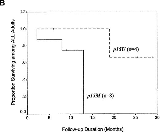 Fig. 4. Kaplan-Meier survival curves for 38 adults with AML and 12 adults with ALL, according to p15 methylation category. / Twenty-three patients with AML and 8 with ALL had methylation(p15M); 15 patients with AML and 4 with ALL had unmethylated status (p15U). Panel A shows AML patients; B, ALL patients.
