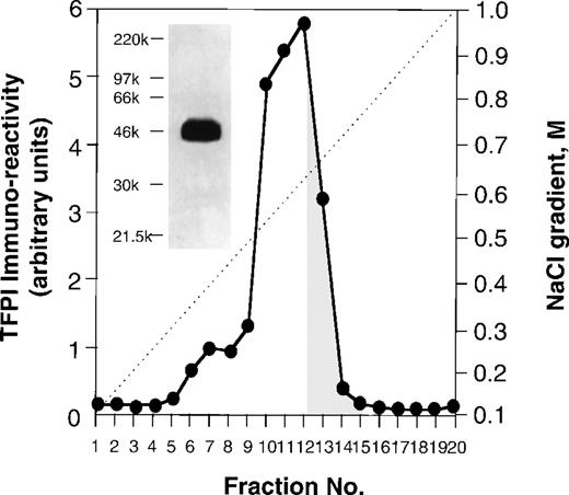 Fig. 1. Profile of heparin-agarose chromatography of TFPIC127. / Heparin-agarose chromatography was carried out using a 0.1 to 1 mol/L NaCl gradient in 0.05 mol/L Tris-HCl, pH 7.5. Elution of TFPIC127was monitored by a modified ELISA as described in the “Materials and Methods.” Inset: Western blot analysis of TFPIC127. Purified TFPIC127 (1 μg) was run on a 10% SDS-PAGE gel and transferred to nitrocellulose membrane. The membrane was blotted with rabbit antisera containing a peptide antibody against the last 12 amino acid residues of TFPI, and developed with ECL reagents.
