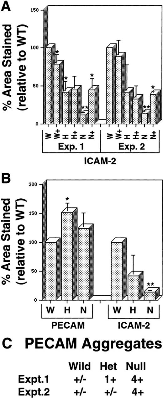Fig. 2. Quantitative imaging analysis of VEGF mutant ES cell cultures. / Day 8 ES cells were processed as shown in Figure 1, and imaging analysis was performed as described in “Materials and methods.” (A) Percentage area stained with antibody to ICAM-2 in 2 separate experiments. W, wild-type (+/+) VEGF cultures; H, hemizygous (+/−) VEGF cultures; N, null (−/−) VEGF cultures. In all cases, (+) after the letter denotes the same genotype ES cells incubated with 15 ng/mL recombinant hVEGF-165 from days 3 to 8. (B) Percentage area stained with antibody to PECAM or ICAM-2 in duplicate wells of the same experiment. Abbreviations are as for A. In all cases, statistical analysis was performed comparing H and N figures to the W figure in the same experiment, and each (+) figure was compared to the nonrescued figure for the same genotype. *P < .01; **P < .001. (C) Semiquantitative assessment of PECAM+ aggregates (examples in Figures 1F, 1G) was conducted by visual inspection of 2 to 4 wells of each genotype in separate experiments. The relative abundance of the aggregate staining was estimated as follows: +/−, trace; 1+, 2% to 5%; 2+, 5% to 10%; 3+, 10% to 30%, 4+, more than 30%.