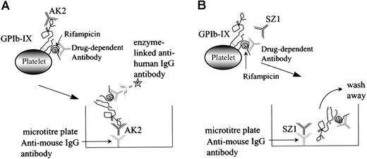 Fig. 5. Schematic representation of the MAIPA assay. / The MAIPA assay is an antigen-capture ELISA that uses a mAb to capture GPIb-IX complex to which the human drug-dependent antibody has already bound at a site distant from the mAb-binding site (A). If the human antibody and the murine mAb-binding sites coincide or are in close proximity to each other, the human antibody cross-blocks the mAb, the antigen/drug-dependent antibody complex is not captured by the anti-mouse IgG antibody, and a negative result is obtained (B).
