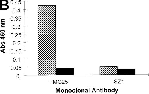 Fig. 6. Inhibition of rifampicin- and quinine-dependent antibody binding by anti-GPIX mAbs. / MAIPA studies were performed in the presence and absence of rifampicin (A) or quinine (B) with patient serum and a mAb as indicated in the figure. (A) The results of the rifampicin-induced serum binding to platelets in the presence or absence of rifampicin and a cross-blocking anti-GPIX mAb (SZ1) or a non–cross-blocking anti-GPIX mAb (FMC25). Binding was not observed in the absence of rifampicin. The rifampicin-dependent antibody did not inhibit the binding of FMC25, giving a positive result. Conversely, the drug-dependent antibody almost completely inhibited SZ1 binding, giving a negative result. (B) The results of 1 representative quinine-induced thrombocytopenia patient's serum binding to platelets in the presence or absence of quinine and an anti-GPIX mAb (FMC25 or SZ1). No binding was observed in the absence of quinine. The quinine-dependent antibody did not inhibit the binding of FMC 25, again giving a positive result. Conversely, the quinine-dependent antibody inhibited SZ1 binding, giving a negative result. The striped box indicates binding in the presence of the drug; the filled box indicates binding in the absence of the drug; Qn, quinine; Rif, rifampicin; Pt, patient.
