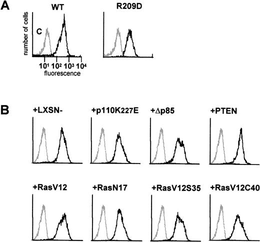 Fig. 1. FACS analysis of FcR expression in transfected Ba/F3 cells. / In (A), expression of FcαR and a FcαR mutant, FcαR_R209D, was analyzed by flow cytometry. In (B), the effect of co-expression of Ras, phosphatidylinositol 3-kinase, PTEN, and gag constructs on FcαR_wt expression was analyzed. Polyclonal stable cell lines were tested for expression of FcαR with PE-labeled A59, a monoclonal antibody against FcαR (CD89). Levels of FcαR expression are indicated as relative fluorescence, and nontransfected Ba/F3 cells were used as a control in each panel (gray line).