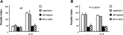Fig. 6. Inhibition of protein kinase C (PKC) results in abolished immunoglobulin A (IgA) binding on interleukin 3 (IL-3) stimulation. / IL-3-starved Ba/F3_FcαR (A) or Ba/F3_FcαR (p110K227E) cells (B) were pretreated for 10 minutes with buffer (white), p70S6K inhibitor rapamycin (20 ng/mL; gray), or PKC inhibitors GF109203X (1μmol/L; black) or Ro-31-8220 (1μmol/L; arched) and subsequently incubated with or without IL-3 for 15 minutes. Binding of IgA beads to these cells was measured, and results are expressed as rosette index (number of beads/100 cells) and as means ± SE (n = 3).