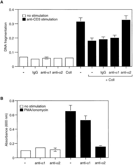 Fig. 3. Collagen I-induced inhibition of AICD in Jurkat cells is mediated by the 2β1 integrin. / (A) Jurkat cells were stimulated with or without anti-CD3 and collagen I in the presence or absence of inhibitory antibodies against α1 and α2 integrin subunits or control antibodies (IgG). The anti-integrin antibodies were used at 25 μg/mL and were added 30 minutes before plating the cells on anti-CD3–coated wells. The cells were then cultured for 24 hours and cell death was determined by DNA fragmentation assay. (B) Adhesion assay of Jurkat cells on immobilized collagen I. Cells were activated or not with PMA/ionomycin and plated on wells that had been coated with collagen I and were allowed to attach for 1 hour at 37°C. 25 μg/mL of inhibitory anti-α1 and anti-α2 integrin antibodies were added to the wells as indicated in the figure. Adhesion was quantified as described in “Materials and methods.” The results are representative of 3 different experiments performed in triplicates.