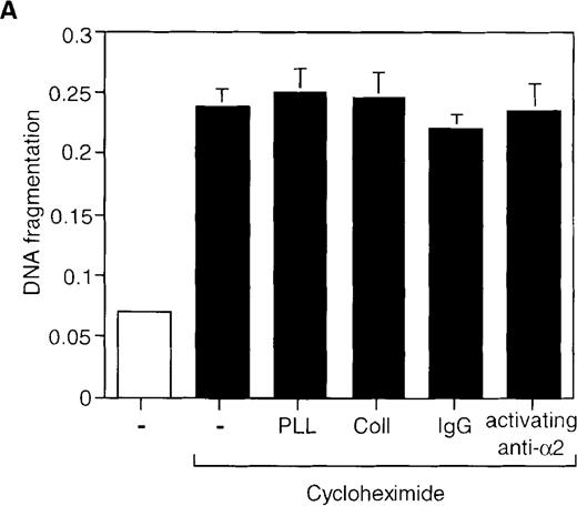 Fig. 5. Engagement of the 2β1 integrin does not inhibit cycloheximide- or Fas-induced apoptosis in Jurkat cells. / Jurkat cells were stimulated with 20 μg/mL of cycloheximide for 6 hours (A) or with 1 μg/mL of anti-Fas antibody CH-11 for 24 hours (B) in the presence or absence of 50 μg/mL of collagen I or poly-l-lysine, or 50 μg/mL of immobilized activating anti-α2β1 antibody JSB2 or control antibodies. Apoptosis was determined by DNA fragmentation as previously described.