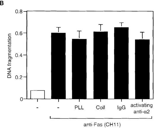 Fig. 5. Engagement of the 2β1 integrin does not inhibit cycloheximide- or Fas-induced apoptosis in Jurkat cells. / Jurkat cells were stimulated with 20 μg/mL of cycloheximide for 6 hours (A) or with 1 μg/mL of anti-Fas antibody CH-11 for 24 hours (B) in the presence or absence of 50 μg/mL of collagen I or poly-l-lysine, or 50 μg/mL of immobilized activating anti-α2β1 antibody JSB2 or control antibodies. Apoptosis was determined by DNA fragmentation as previously described.