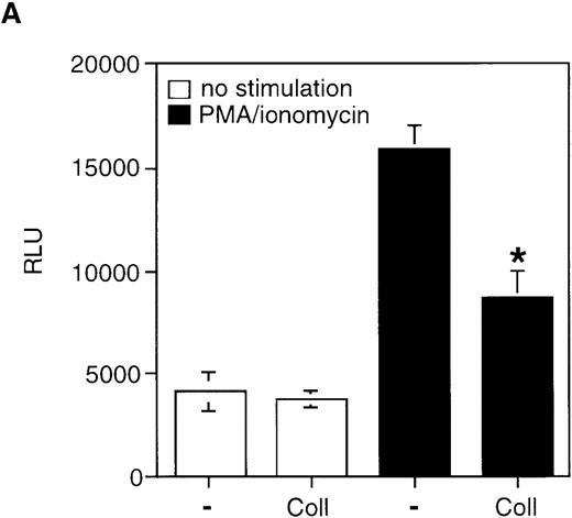 Fig. 7. Collagen I inhibits AICD by modulating Fas-L expression. / (A) Collagen I inhibits transcriptional activity of the Fas-L promoter in activated Jurkat cells. Jurkat cells were transiently transfected with luciferase reporter construct containing the 1.2 kb Fas-L promoter together with a pCMVβ-Gal plasmid encoding β-galactosidase. 48 hours after transfection, the cells were stimulated with or without PMA/ionomycin in the presence or absence of 50 μg/mL of poly-l-lysine and collagen I. The relative luciferase activity (RLU) was determined 18 hours after stimulation. *P < .05 between PMA/ionomycin-stimulated control and collagen-treated samples. (B) Collagen inhibits Fas-L expression on the cell surface as determined by a cytotoxicity assay. Jurkat cells were stimulated with 50 μg/mL of anti-CD3 for 6 hours to allow for Fas-L expression. As indicated, 50 μg/mL of collagen I or poly-l-lysine was added. The cells were harvested, washed twice with PBS, and incubated with51Cr-labeled Hut-78 cells for 12 hours. The percentage of cytotoxicity was determined as described in “Materials and methods.” The results are mean of 2 experiments performed in triplicates. *P < .05 between anti-CD3-stimulated control and collagen-treated samples.