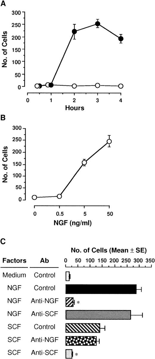Fig. 1. Migration of PMCs in response to NGF. / (A) PMCs (5 × 104 cells/500 μL) placed in culture inserts (upper compartment) were allowed to migrate toward 50 ng/mL NGF (closed) or medium alone (open) in each well of 24-well culture plates (lower compartment). Mast cell migration was assessed by counting the number of PMCs through the polycarbonate membrane. Each point represents the mean ± SE (standard error) of 4 separate experiments. (B) Various concentrations of NGF were applied into the lower compartment. After incubation for 3 hours, migratory cells were counted. Each point represents the mean ± SE of 4-11 separate experiments. (C) Anti-NGF (1:500 dilution), anti-SCF (5 μg/mL), or control pAb was added into 50 ng/mL NGF or 1 ng/mL rSCF in the lower compartment. After incubation for 3 hours, migratory PMCs were counted. Data were obtained from 5-9 separate experiments. *P < .001, when compared with NGF or rSCF pAb and control pAb.