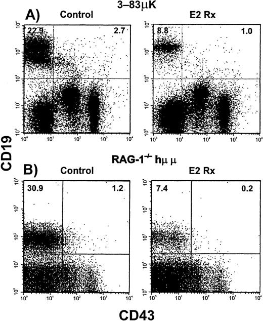 Fig. 4. B-lineage cells in Ig transgenic mice are sensitive to estrogen. / Flow cytometry was used to analyze bone marrow cells from untreated (Control) and E2-treated Ig transgenic mice. Results obtained with murine μ heavy chain plus κ light chain (3-83μκ) transgenic mice are shown in Panel A. Panel B shows a similar experiment performed with immunodeficient mice bearing a human μ transgene (RAG-1−/−/Hu μ). Incidences of Pro-B cells are given in the upper right quadrants, whereas incidences of more differentiated cells are indicated in the upper left quadrants. The data are summarized in Table 1.