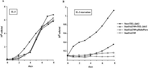 Fig. 5. The constitutive expression of a dominant negative Stat5A mutant interferes with the growth factor independence conferred by the TEL-Jak2 fusion in Ba/F3 cells. / Ba/F3 cells constitutively expressing the pRSVNeo-Stat5AΔ749 vector (Stat5AΔ749) were stably transfected with TEL-Jak2 (Stat5AΔ749+TEL-Jak2) or the empty expression vector (Stat5AΔ749+pBabePuro). As a control, the parental pRSVNeo Ba/F3 cells were stably transfected by TEL-Jak2 (Neo+TEL-Jak2). The proliferation rates of the indicated Ba/F3 cell lines were scored daily for 8 days in either the presence (A) or absence (B) of WEHI conditioned medium.