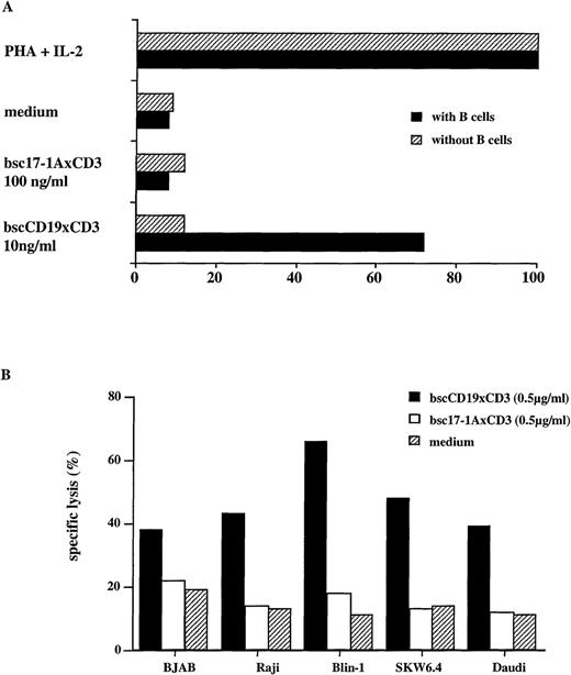 Fig. 2. T-cell proliferation and cytotoxic activity of bscCD19 × CD3. / (A) Standard 3H-thymidine proliferation assay with unstimulated primary human PBMCs before and after depletion of B cells by immunomagnetic beads. (B) Cytotoxicity of bscCD19 × CD3 in a51Cr-release assay with primary human PBLs and different B-cell lines (BJAB, Raji, Blin-1, SKW6.4, and Daudi) in the presence of 60 units per mL IL-2; the E-T ratio was 10:1 and the incubation time was 4 hours. The SD in all triplicates was below 5%.