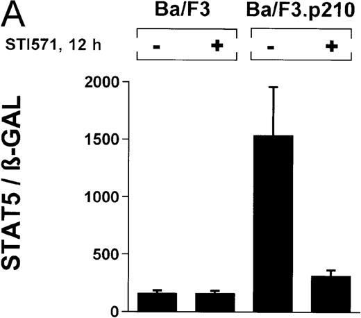 Fig. 3. Induction of STAT5 reporter gene activity with Bcr/Abl. / (A) Ba/F3p210 cells and untransformed Ba/F3 cells in RPMI plus WEHI (10%) were transfected with the β-casein luciferase reporter gene (together with the β-GAL construct). Twelve hours after transfection, cells were split and maintained in either the presence or absence of Bcr/Abl kinase inhibitor STI571 (1 μmol/L). Cells were then harvested, and lysates were assayed for luciferase and β-GAL activities, expressed as a ratio of luciferase activity to β-GAL-activity. Ba/F3p210 cells expressed significantly more STAT5 reporter gene activity than did Ba/F3 cells, and the increased STAT5 activity was due directly to Bcr/Abl, since it could be abrogated by Bcr/Abl kinase inhibitor STI571. (B) Untransformed Ba/F3 cells and TonB.210 cells were transfected with the β-casein luciferase reporter gene (together with the β-GAL construct). Twelve hours after transfection, cells were split, maintained in either the presence or absence of doxycycline (1 μg/mL), and assayed for luciferase and βGAL activities. Induction of Bcr/Abl in Ton B.210.1 cells by doxycycline increased STAT5 reporter gene activity. Doxycycline had no effect on STAT5 reporter gene activity in untransformed Ba/F3 cells.