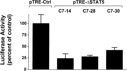 Fig. 4. Inhibition of STAT5 reporter gene activity by δSTAT5 expression. / Cells from 3 clones of Ba/F3p210ΔSTAT5 cells were transfected with the β-casein luciferase construct. Twelve hours after transfection, cells were split and maintained in either the presence or absence of doxycycline (1 μg/mL) for 24 hours. Cells were then assayed for luciferase activity, and results are expressed as the percentage of activity in unstimulated controls. Induction of ΔSTAT5 in Ba/F3p210ΔSTAT5 cells by doxycycline significantly inhibited STAT5 reporter gene activity in all clones tested. No inhibition of STAT5 activity was observed when Ba/F3p210Ctrl cells were exposed to doxycycline.