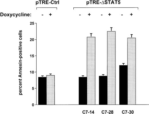 Fig. 7. Effects of ▵STAT5 on viability of Ba/F3p210 cells. / Cells from 3 clones of Ba/F3p210ΔSTAT5 cells were maintained in either the presence or absence of doxycycline (1 μg/mL) for 2 days, and viability was determined by using a combined annexin V/PI staining protocol.2930 Compared with cells not subjected to induction (black bars), ΔSTAT5 expression induced by doxycycline (stippled bars) increased the percentage of annexin V-positive cells (apoptotic cells) in all clones tested. Doxycycline had no effect on the viability of Ba/F3p210Ctrl cells.