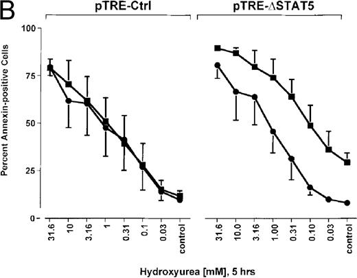 Fig. 8. Effects of ▵STAT5 expression and coincubation with cytarabine and hydroxyurea on viability of Ba/F3p210 cells. / (A) The effects of ΔSTAT5 expression on viability were tested after cells were incubated with various concentrations of cytarabine (1000-31.6 nmol/L) for 36 hours. When coincubated with doxycycline (1 μg/mL) (▪), Ba/F3p210ΔSTAT5 cells were more susceptible to killing induced by cytarabine than were cells maintained in the absence of doxycycline (•). No significant effect on viability was observed when Ba/F3p210Ctrl cells were coincubated with doxycycline and cytarabine. (B) Ba/F3p210ΔSTAT5 cells were coincubated in either the presence (▪) or absence (•) of doxycycline (1 μg/mL) with various doses of hydroxyurea for 5 hours. After 36 hours, they were analyzed for viability. Coincubation with doxycycline enhanced killing induced by various doses of hydroxyurea. No effect of doxycycline on viability was observed when Ba/F3p210Ctrl cells were coincubated with hydroxyurea.