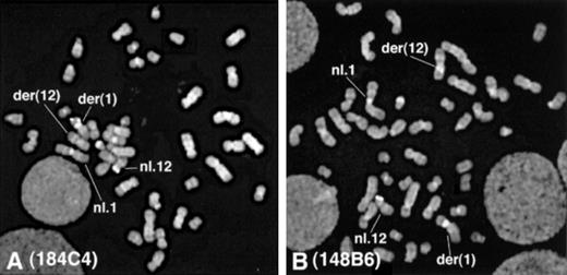 Fig. 2. FISH analysis of the HT93A cells. / (A) The signals were found on the der(1) and on the normal 12p with 184C4 probe, which hybridizes to ETV6 exons 3-5. (B) The signals were found on the der(12) and on the normal 12p with 148B6 probe, which hybridizes to ETV6 exon 8.