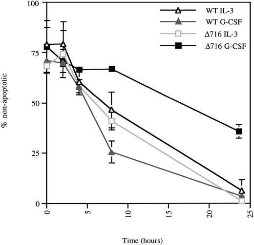 Fig. 3. ▵716 cells are resistant to apoptosis induction following culture in G-CSF. / Ba/F3 cells transfected with the WT or Δ716 G-CSFR were grown in RPMI 1640 medium containing 10% FBS and 2 mmol/L glutamine, supplemented with either 10% WEHI-CM (IL-3 source) or 1.9 ng/mL G-CSF. At time 0, the cells were washed, resuspended in media without added cytokine, and incubated at 37°C. At the indicated times, cells (1 × 105) were subjected to the TUNEL reaction and analyzed by light microscopy, as described in “Materials and methods.” Data are expressed as the percentage of non-apoptotic cells (negative for TUNEL reaction) in a 200-cell count from 2 independent experiments.