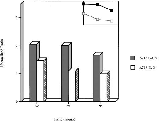 Fig. 7. Delayed extinction of G-CSF–induced Akt activation in ▵716 cells. / Ba/F3 cells transfected with the Δ716 G-CSFR were grown in RPMI 1640 medium containing 10% FBS and 2 mmol/L glutamine, supplemented with either 10% WEHI-CM (source of IL-3) or 1.9 ng/mL G-CSF for 10 days. The cells were washed twice, then transferred to media devoid of serum and cytokines. At the indicated time points, the cells were lysed, immunoprecipitated with anti-Akt, and subjected to Akt in vitro kinase assays. Data are expressed as the ratio of histone H2B phosphorylation in Akt immunoprecipitates compared with control lysates immunoprecipitated with normal sheep IgG. A linear representation of the data is shown in the inset.