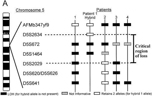Fig. 2. A. Delineation of the critical region of loss between in patients 1 and 2. / Marker D5S2634 maps within 30-kb of marker D5S672 (SHGC radiation hybrid map) and is placed centromeric, based on results from our somatic cell hybrid. The ordering of markers is supported by the YAC contig in Figure 3. B. Loss of heterozygosity analysis of polymorphic markers at 5q13.3. Paired samples of DNA from peripheral blood granulocytes or bone marrow blasts and mononuclear cells were PCR amplified for each of the 5q13.3 polymorphic markers. Patient 1 mononuclear cells were short term cultured to select for the leukemic population. The presence of 2 alleles in the control sample rendered a given patient informative for the specific locus. N = normal sample. L = leukemic sample. Arrows mark the location of alleles. Stars indicate allele loss.