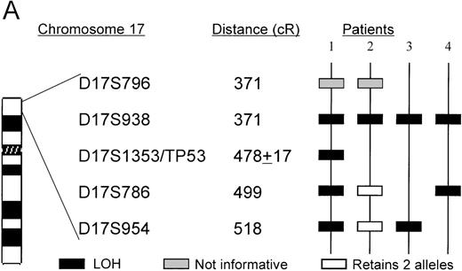 Fig. 4. A. The ordering of markers within the region is based on published mapping data from the SHGC. / Distances in centirays (cR) are from the p-arm telomere as determined by the SHGC. B. Loss of heterozygosity analysis of polymorphic markers at 17p13. Paired samples of DNA from peripheral blood granulocytes or bone marrow blasts and mononuclear cells were PCR amplified for each of the 17p13 polymorphic markers. The presence of 2 alleles in the mononuclear cells rendered a given patient informative for the specific locus. LOH = loss of heterozygosity. N = normal sample. L = leukemic sample. Arrows mark the location of alleles. Stars indicate allele loss.
