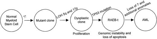 Fig. 6. Sequence of genetic alterations in patient 1. / A normal myeloid stem cell that acquires loss of 5q13 and 17p loci confers a prolifertaive advantage. The clone accumulates additional chromosomal alterations after inactivation of the TP53 gene. The resulting acute leukemic clone with the numerous cytogenetic alterations is highly refractory to therapy.