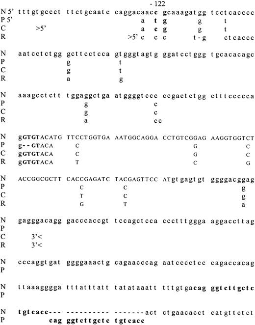 Fig. 9. Sequence comparison of exon 2 and adjacent intronic regions of p47-phox genes. / Sequence of exon 2 (capital letters) and the flanking introns is shown from the human p47-phox wild-type gene (N), the humanp47-phox pseudogenes (P), the chimpanzee p47-phox gene (C), and the rhesus monkey p47-phox gene (R). The start of the sequence available is indicated by 5′, and 3′ indicates the end of the sequence. Note that the CG sequence in intron 1 was not conserved in the rhesus monkey and that intron 2 could not be amplified with human primers in the chimpanzee nor the rhesus monkey.